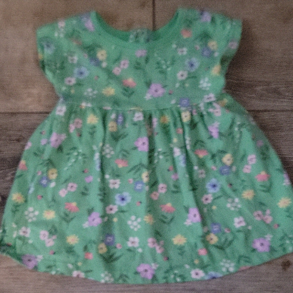 Garanimals Green Baby Dress with Floral Accents